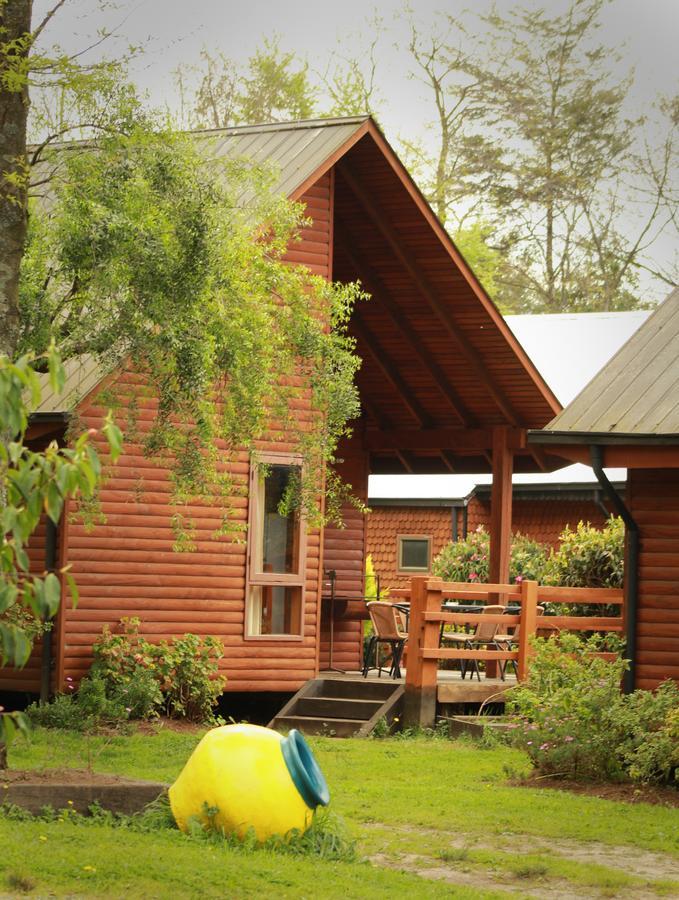 Cabanas Risso * Villarrica